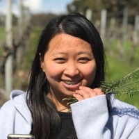 Innovent Engineering Group Employee Alexandrea Kiu's profile photo