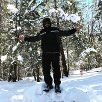 David Gindratt Email