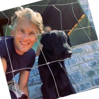 David Koolen Email