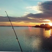 Brad Sink Email & Phone Number