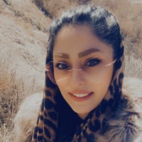 Novin Kish Informatics Services Corporation Employee Monireh Dastkar's profile photo