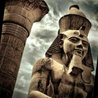 Ansar Gallery Employee Mohammed Helal's profile photo