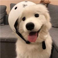 张雁君's profile photo