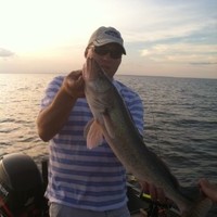 Marvin Employee Tom Lund's profile photo