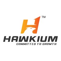 Hawkium Employee Digital Marketing's profile photo