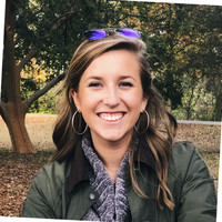 Wilson Schubert Email & Phone Number