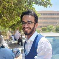MegaSoft IT Consulting & Training Employee Ahmed Zaki's profile photo