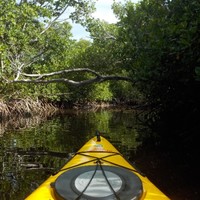 Clay Knisley Email & Phone Number