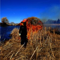Tallgrass Restoration Employee Laura Feit's profile photo