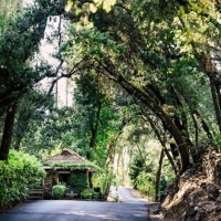 Meadowood Napa Valley Employee Jenny Chmieleski's profile photo