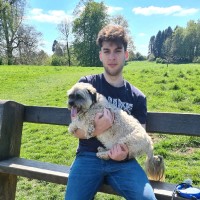 Joseph Hawkins's profile photo