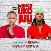 Starmind Employee Nexxie Music's profile photo