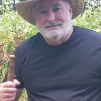 Fresher Jobs Employee Darryl Parham's profile photo