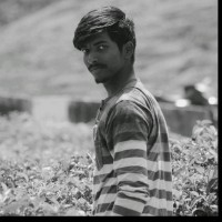 Pathfinder Business Analysis (P) Ltd Employee Shreedhar K.v's profile photo