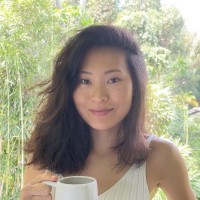 Lauren Shin