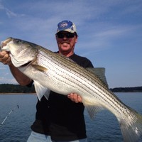 ALTA Refrigeration, Inc. Employee Lee Strickland's profile photo