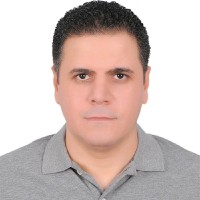 Mahmoud Mekkawy Email