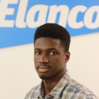 LOEBER Georges S.A.S. Employee Papa Diakhate's profile photo