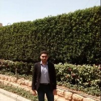 Emad Shafea Email