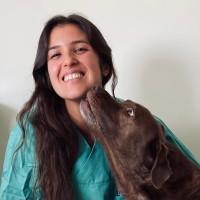 Maven.Pet Employee Carolina Domingues's profile photo