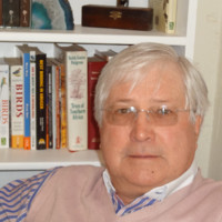 Pulse Research Employee Malcolm Keevy's profile photo