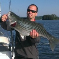 King GREEN Employee Tony Aponik's profile photo