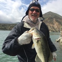 Patrick Studdert Email & Phone Number