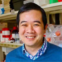 Freddy Nguyen