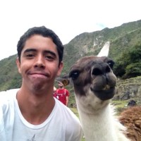 Ker & Downey Africa Employee Paulo Henrique's profile photo