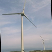 Windtak Employee Windy Morning's profile photo