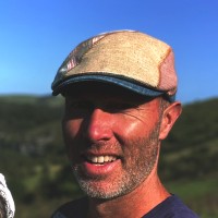 Matthew Stevens Email & Phone Number