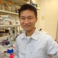 Mochi Liu Email & Phone Number