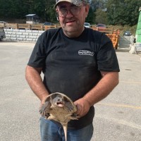 Ron Martel Email & Phone Number