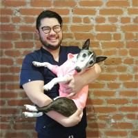 Juno Veterinary Employee Masato Yamada's profile photo