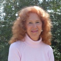 Cape Cod Writers Center Employee Nancy Stuart's profile photo