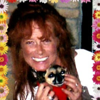 Hilton Durham near Duke University Employee Cynthia Higgins-Rich's profile photo