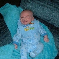 Paladin Land Group, LLC Employee Susan Post's profile photo