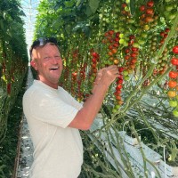 Village Farms International Inc. Employee Dirk de Jong's profile photo