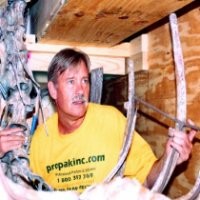 Pro-Pak, Inc. Employee Daniel Kravitz's profile photo