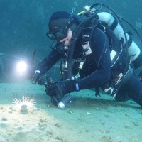 Citizen Science Association Employee Mike Bear's profile photo