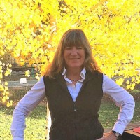 GF Properties/Development Employee Kim Morris's profile photo