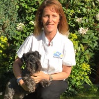 Barking Mad Ltd - Dog Home Boarding Franchise Employee Tracy Johnston's profile photo
