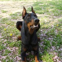 Marathon Petroleum Company Employee Greg Daugherty's profile photo