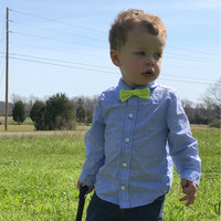 Shane Shepherd Email & Phone Number