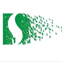 DS Group (Dharampal Satyapal Limited) Employee Rohan Kumar's profile photo