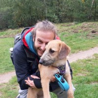 MSIGHTS Employee Georgios Adamantiadis's profile photo