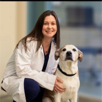 Animal Specialty Center Employee Carly Sullivan's profile photo