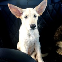 Techstreet Employee Craig Wells's profile photo