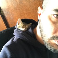 Cineteca Nacional Employee David Guerrero Placencia's profile photo