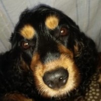 Askam Construction Employee John McNulty's profile photo